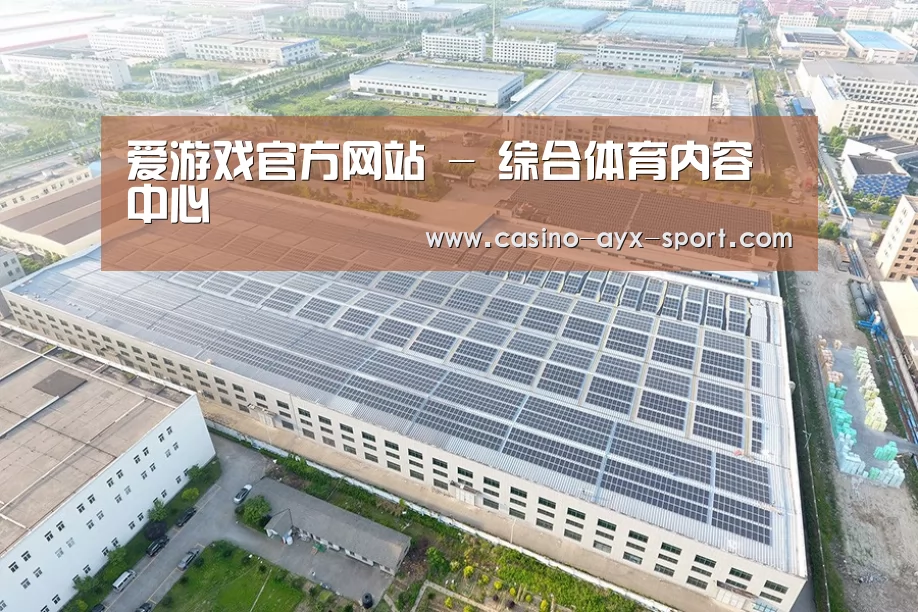 案例展示二