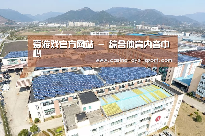 案例展示二