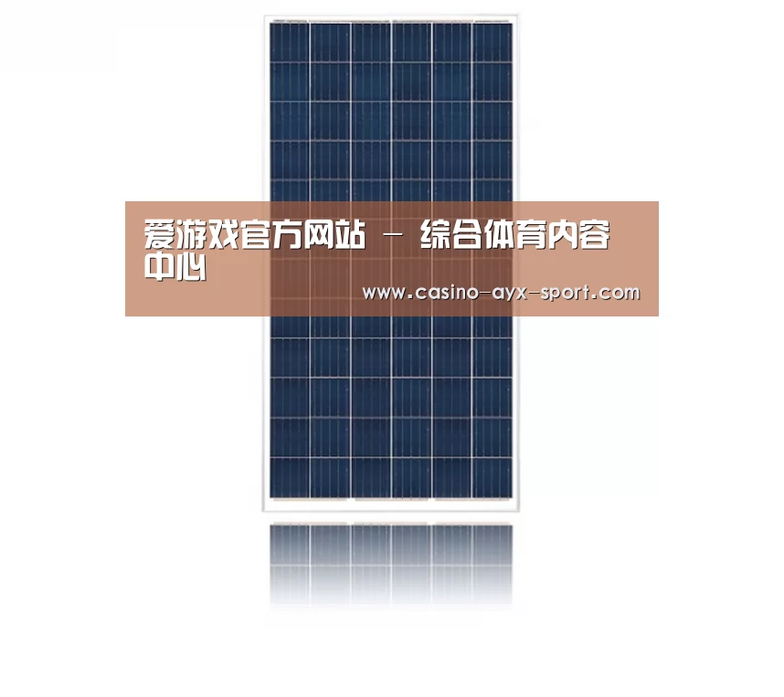 产品名称一