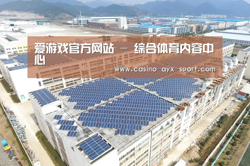 案例展示二