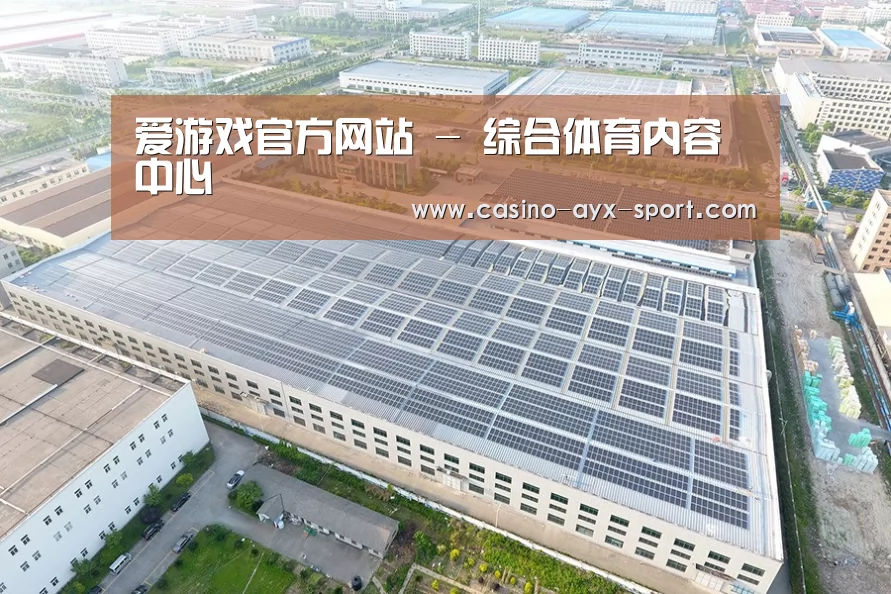 案例展示四