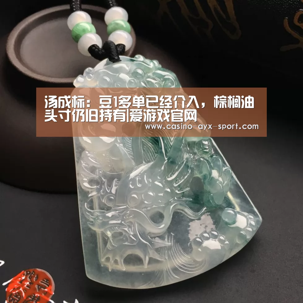 爱游戏官网