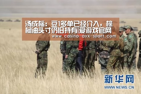爱游戏