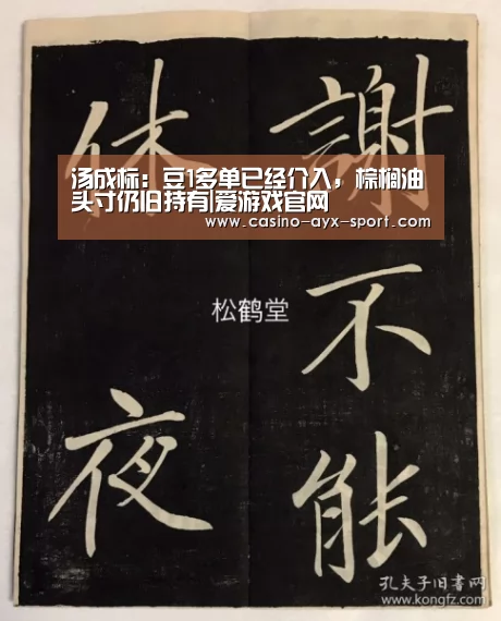 爱游戏