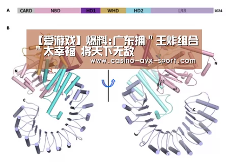 爱游戏