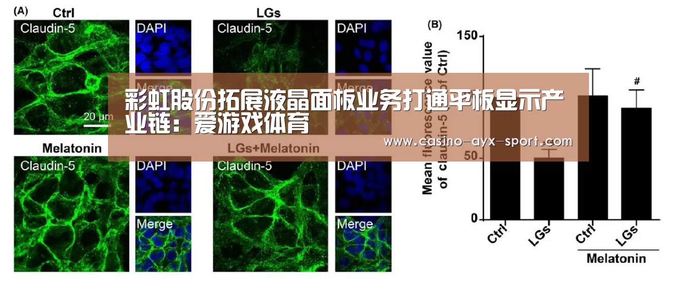 爱游戏首页