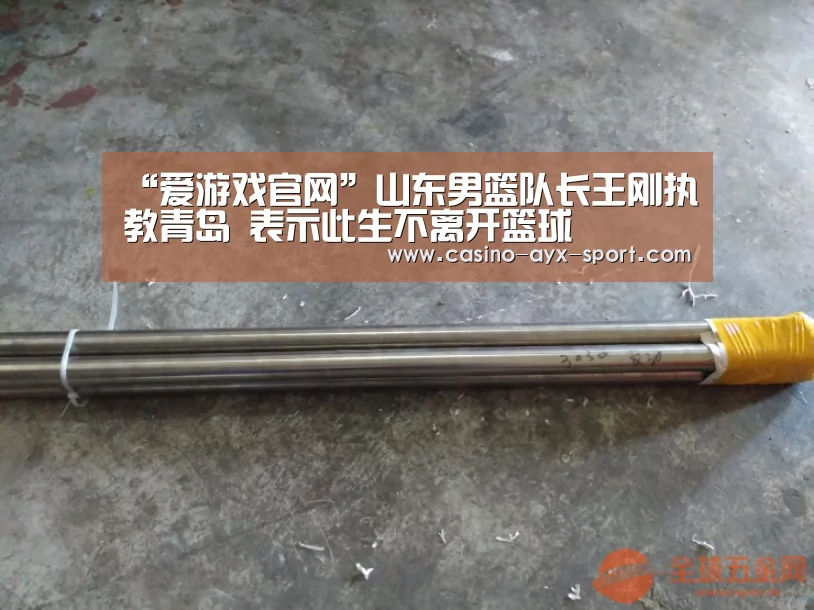 爱游戏官网